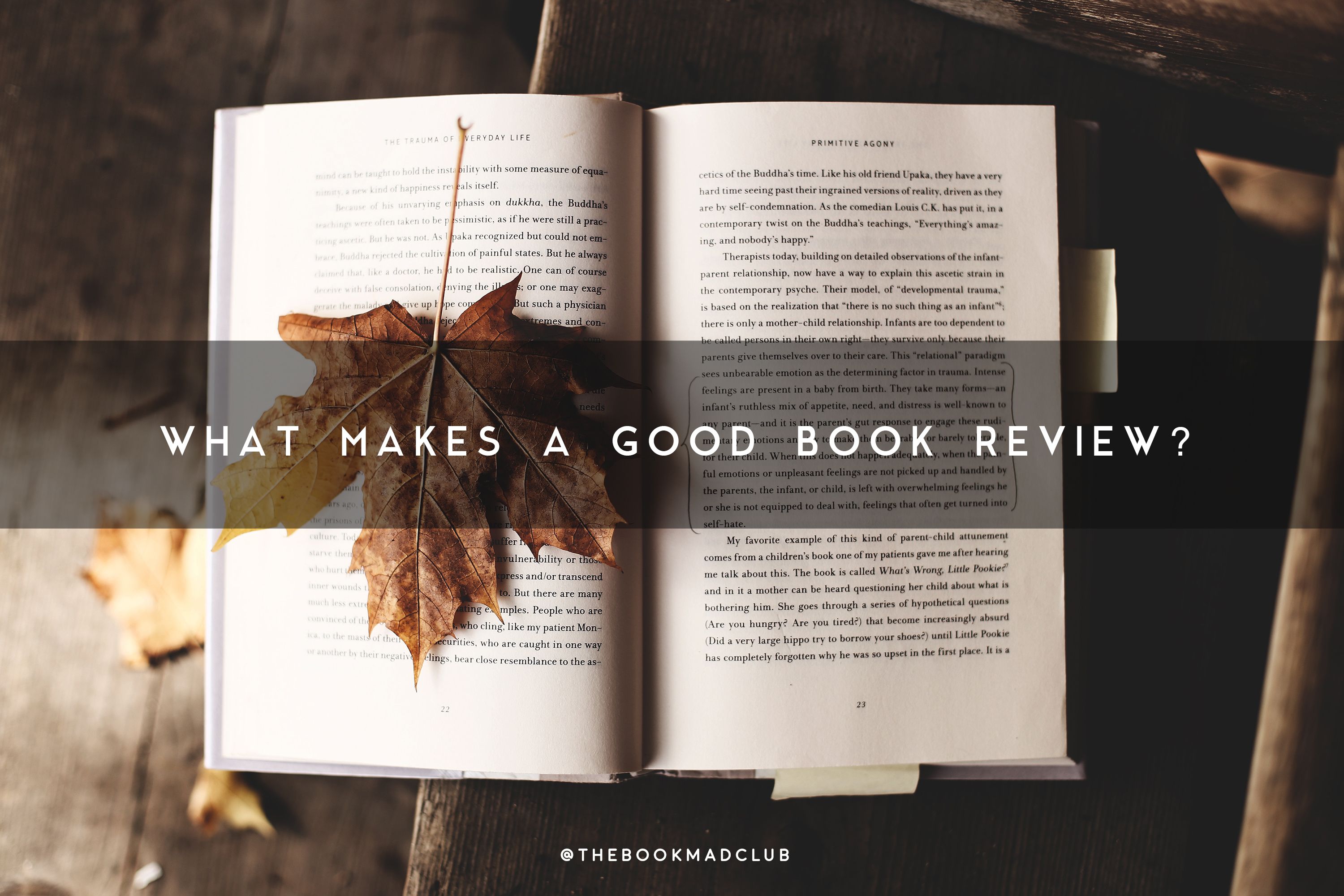 what-makes-a-good-book-review-steemit